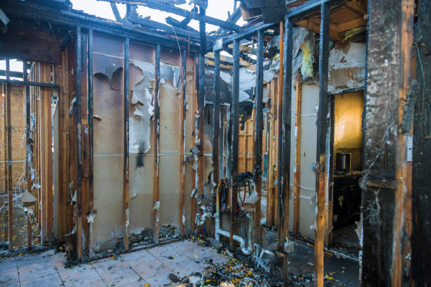 Professional Fire Damage Repair technician working in Spring Park, MN