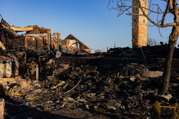 Reliable Fire Damage Repair contractor in Spring Park, MN by Fire Damage Doption