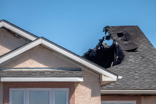 Top rated local Fire Damage Repair specialists in Spring Park, MN